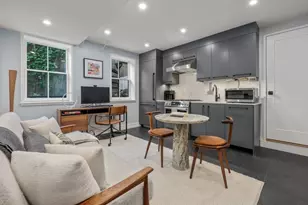 103 W Springfield St, Boston, MA 02118 - Photo 35