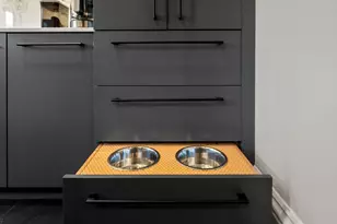 103 W Springfield St, Boston, MA 02118 - Photo 9