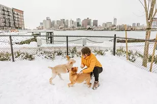 45 Lewis St, Boston, MA 02128 - Photo 39