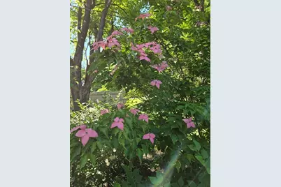 135 Williams Rd, Concord, MA 01742 - Photo 23