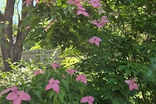 135 Williams Rd, Concord, MA 01742 - Photo 23