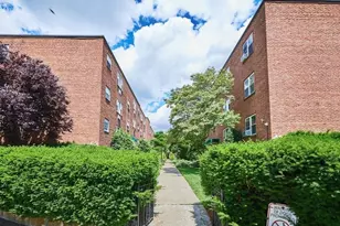 49 Colborne Rd, Boston, MA 02135 - Photo 13