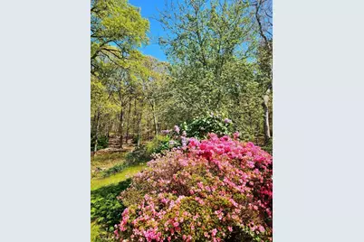 988 Crowells Bog Rd, Brewster, MA 02631 - Photo 25