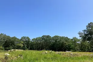 376 Mountain St, Sharon, MA 02067 - Photo 9