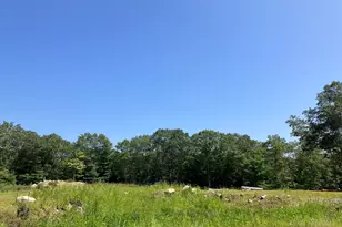 376 Mountain St, Sharon, MA 02067 - Photo 9