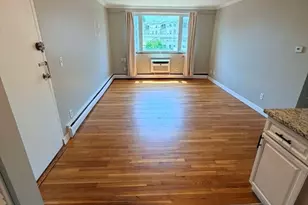 38 Carey Ave, Watertown, MA 02472 - Photo 9