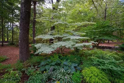 40 Bicentennial Way, Boxborough, MA 01719 - Photo 39