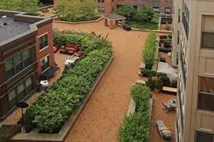 35 Fay St, Boston, MA 02118 - Photo 9