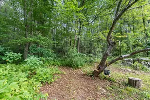 68 Spring St, Hopkinton, MA 01748 - Photo 37