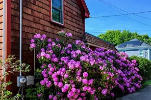 17 Stafford St, Plymouth, MA 02360 - Photo 3