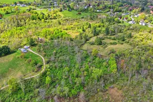 97 Luce Rd, Williamstown, MA 01267 - Photo 11
