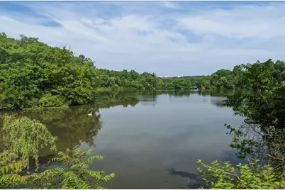 209 Riverview Ave #5, Newton, MA 02466 - Photo 5