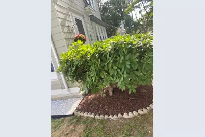 46 Linnea Ave, Brockton, MA 02301 - Photo 19