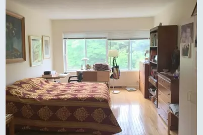 22 Chestnut Place #501, Brookline, MA 02445 - Photo 9