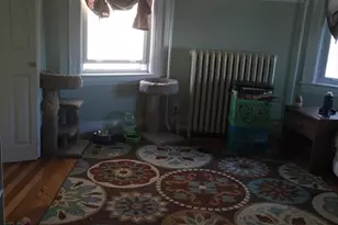 18 Reed Ave, Everett, MA 02149 - Photo 5
