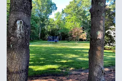 15 Winchester Dr #-, Lexington, MA 02420 - Photo 5