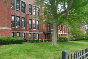 60 Gibson St, Boston, MA 02122 - Photo 17