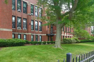 60 Gibson St, Boston, MA 02122 - Photo 17