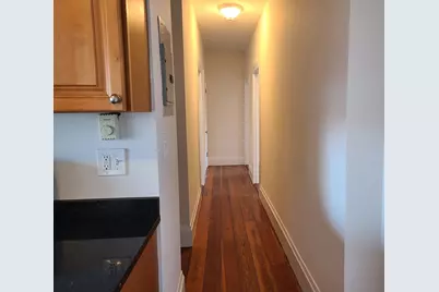 27 Buttonwood St #1, Boston, MA 02125 - Photo 15