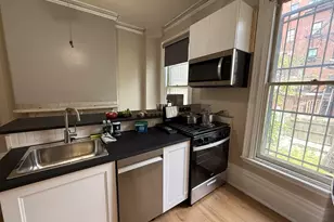 239 Northampton St, Boston, MA 02118 - Photo 9