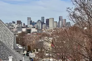 9 Batchelder St, Boston, MA 02125 - Photo 19