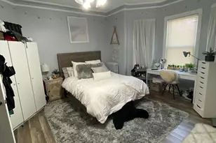 14 Washburn St, Boston, MA 02125 - Photo 13