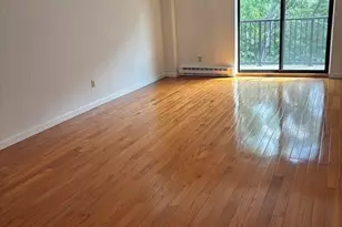 125 Pleasant, Brookline, MA 02446 - Photo 3