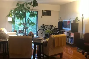 125 Pleasant, Brookline, MA 02446 - Photo 5