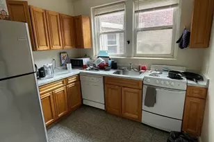 213 Chestnut Hill Ave, Boston, MA 02135 - Photo 15