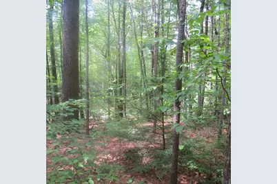 Lot 1 Pratt Corner Road, Leverett, MA 01054 - Photo 5