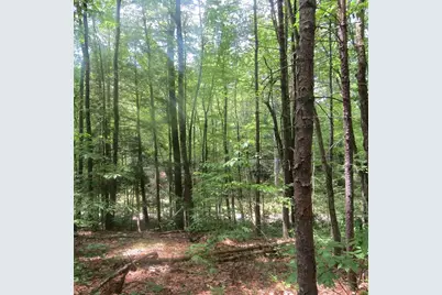 Lot 1 Pratt Corner Road, Leverett, MA 01054 - Photo 1