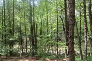 Lot 1 Pratt Corner Rd, Leverett, MA 01054 - Photo 1