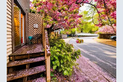 64 White Pl #1, Brookline, MA 02445 - Photo 9