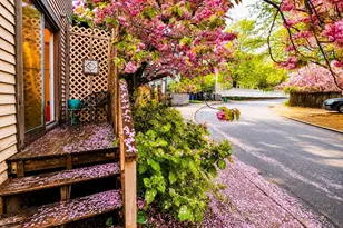 64 White Pl, Brookline, MA 02445 - Photo 9