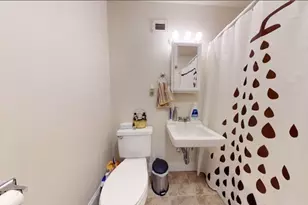 18 Juniper St, Brookline, MA 02445 - Photo 9