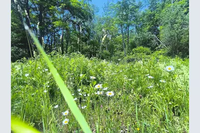 0 Brown Hill Road, Worthington, MA 01098 - Photo 3
