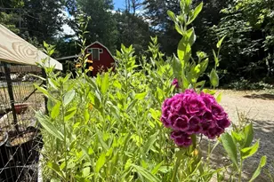 38 W Elm St, Townsend, MA 01474 - Photo 29