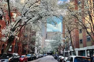 40 St Botolph St, Boston, MA 02116 - Photo 25