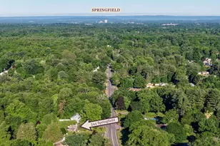 544 Springfield St, Wilbraham, MA 01096 - Photo 29