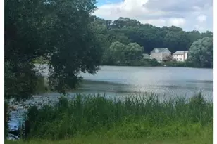 214 Lake Shore Rd, Boston, MA 02135 - Photo 9