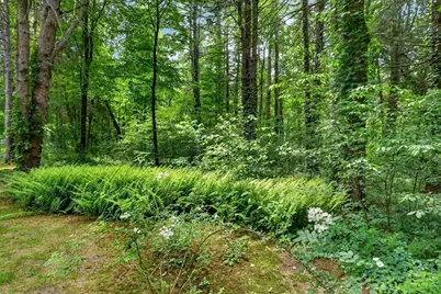 17 Maplewood  Road, Medfield, MA 02052 - Photo 41