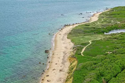 63 Putnam Rd, Chilmark, MA 02535 - Photo 41