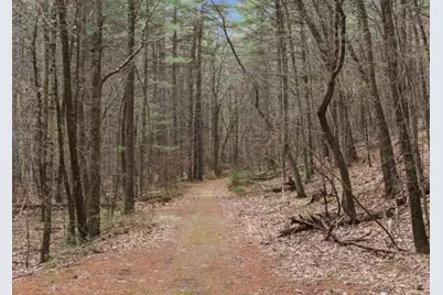 4 Trail Ridge Way #A, Harvard, MA 01451 - Photo 39