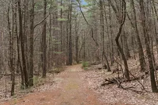 4 Trail Ridge Way, Harvard, MA 01451 - Photo 39