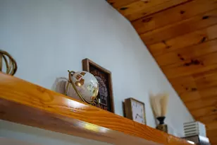 24 Miller Rd, Wilmington, MA 01887 - Photo 7