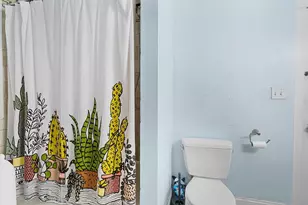 48 Eddy St, Newton, MA 02465 - Photo 23