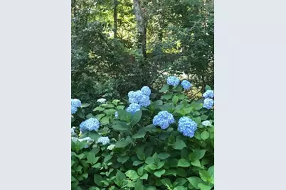 602 Elm St., Walpole, MA 02081 - Photo 37