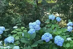 602 Elm St, Walpole, MA 02081 - Photo 37