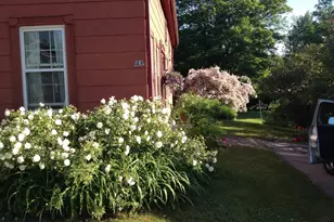 43 Summer St, Barre, MA 01005 - Photo 5