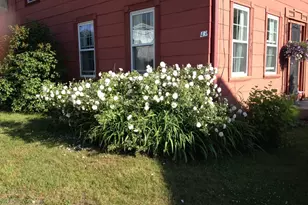 43 Summer St, Barre, MA 01005 - Photo 3